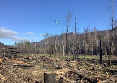 Archie Creek Fire Response Project