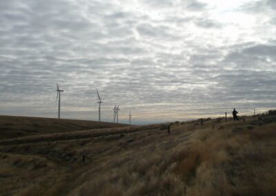 Miller Ranch Wind Farm
